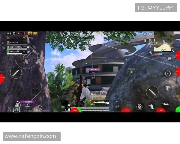 电竞女神赵丽揭秘和平精英成功秘诀与背后故事